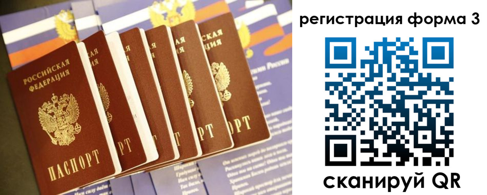 прописка штамп в Козельске